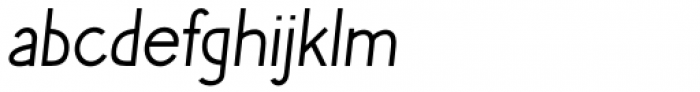 Phlebodium Thin Italic