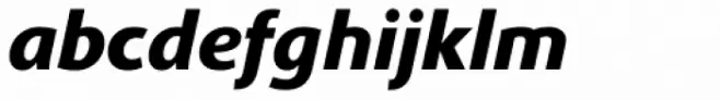 Phoenica Std Black Italic