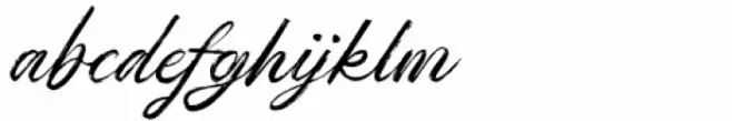 Pianka Brush Regular