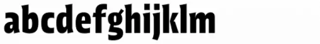 Picador Sans Bold