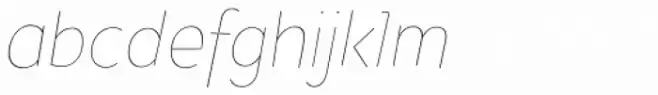Pines Thin Italic