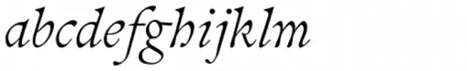 Pinnacle JY Pro Italic