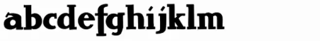 PLAcard EF Serif