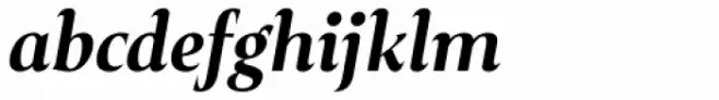 Plaisir Bold Italic