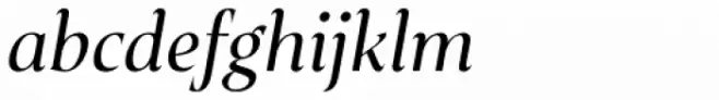 Plaisir Regular Italic