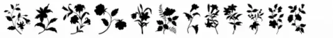 Plant Assortment