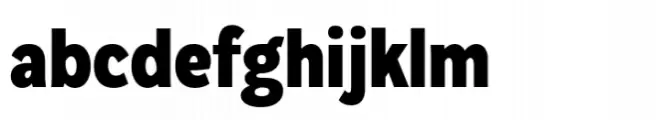 Plasto Black Condensed