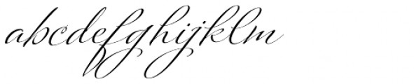 Platinus Script Pro Bold