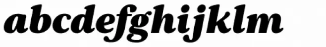 Pockota Black Italic