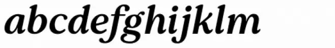 Pockota Medium Italic