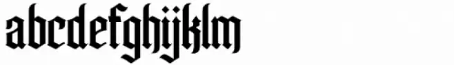 Pollyester Regular