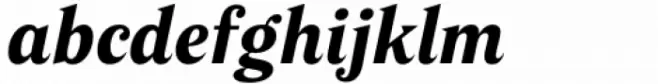 Poly Bold Italic