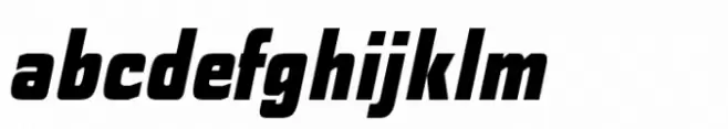 Polyflec Black Italic