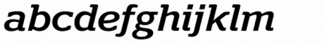 Polyphonic Wide Medium Italic
