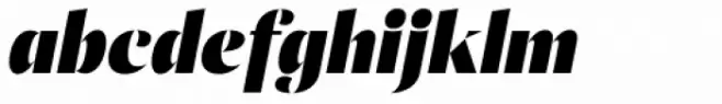 Ponzu Black Italic