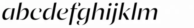 Ponzu Italic