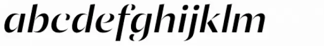 Ponzu Medium Italic
