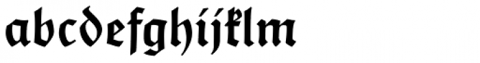 Postillon Halbfett