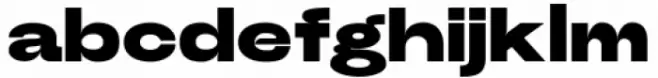 Power Grotesk Black