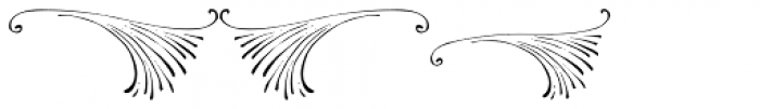 PR Swirlies 11