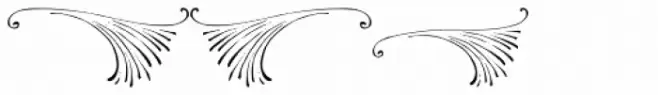 PR Swirlies 11
