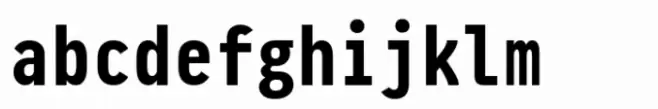 Pragmata Pro Bold Liga