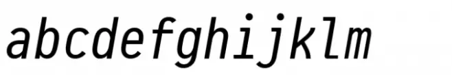 Pragmata Pro Italic Liga