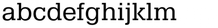 Pragmatica Slabserif Book