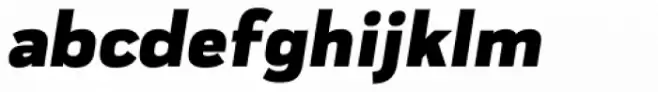 Praktika Black Italic