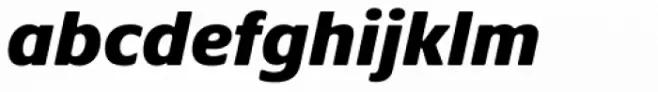 Praxis Next Black Italic
