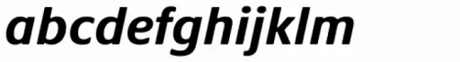 Praxis Next Bold Italic