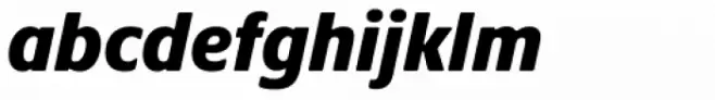 Praxis Next Cn Black Italic