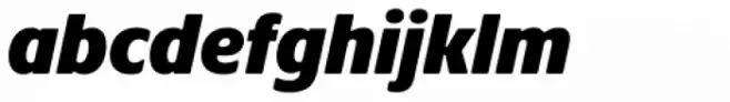 Praxis Next Cn Extra Black Italic