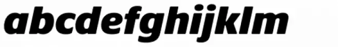 Praxis Next Extra Black Italic