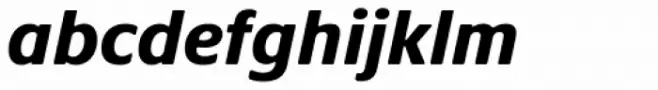 Praxis Next Heavy Italic