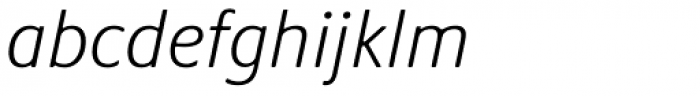 Praxis Next Light Italic