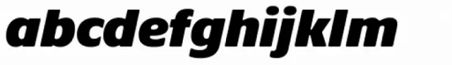 Praxis Next Ultra Italic