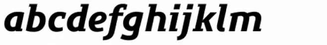 Precious Serif Black Italic
