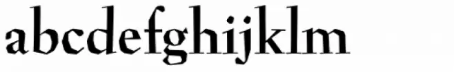 Preissig Antikva Bold