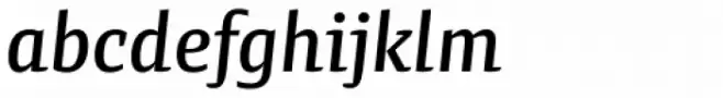Preto Semi Medium Italic