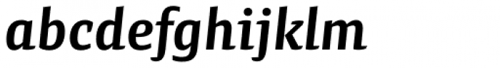 Preto Semi OT Std Bold Italic