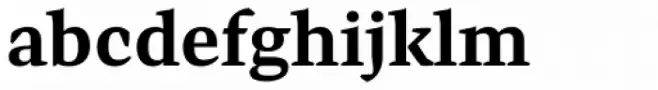 Preto Serif OT Std Bold