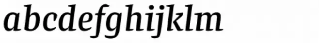 Preto Serif OT Std Medium Italic