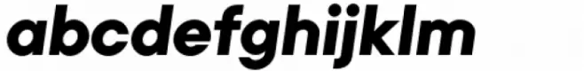 Primeform Pro Black Italic
