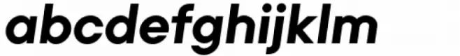 Primeform Pro Heavy Italic