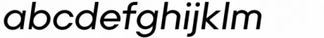 Primeform Pro Medium Italic