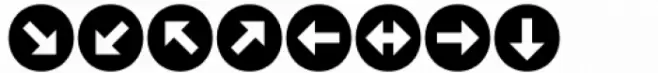 Probeta Arrows Bold