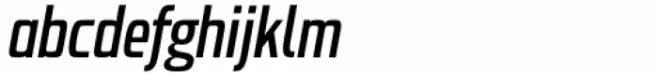 Probeta Medium Italic