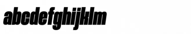 Procerus Black Italic