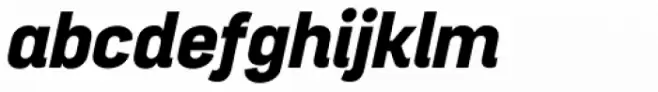 Project Sans Black Italic